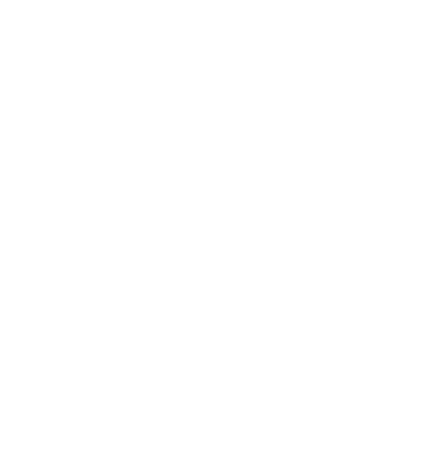 METLIFE 2017